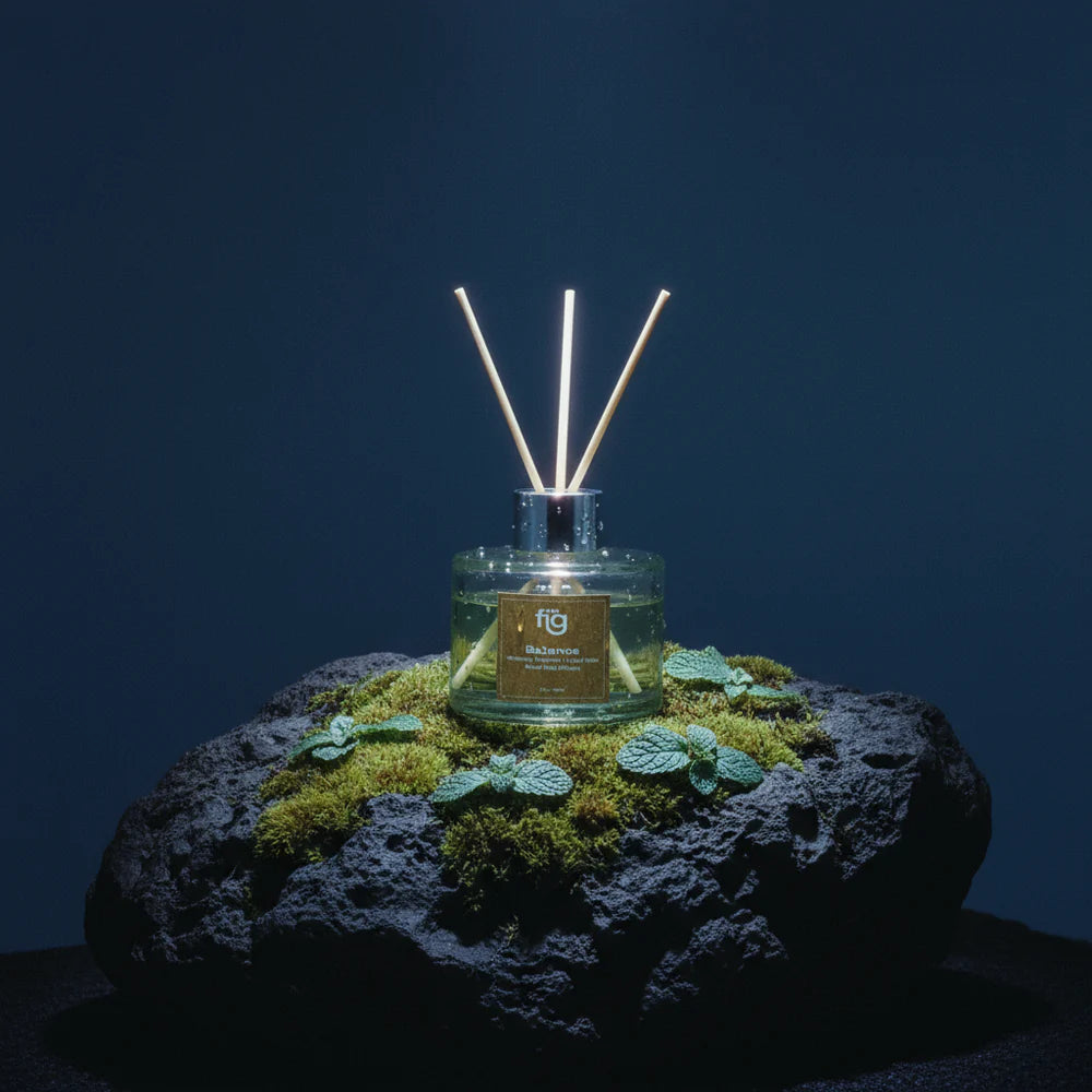 Expobazaar Balance Peppermint Reed Diffuser