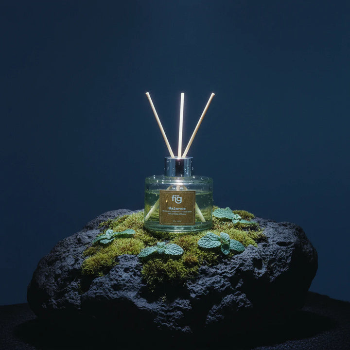 Expobazaar Balance Peppermint Reed Diffuser