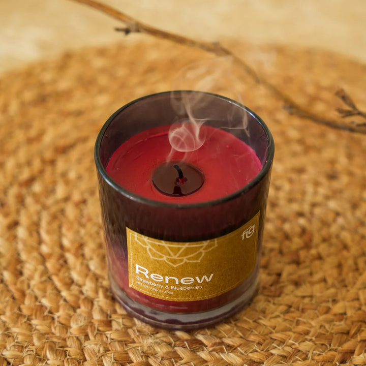 Expobazaar Renew Berries Vegan Scented Candle