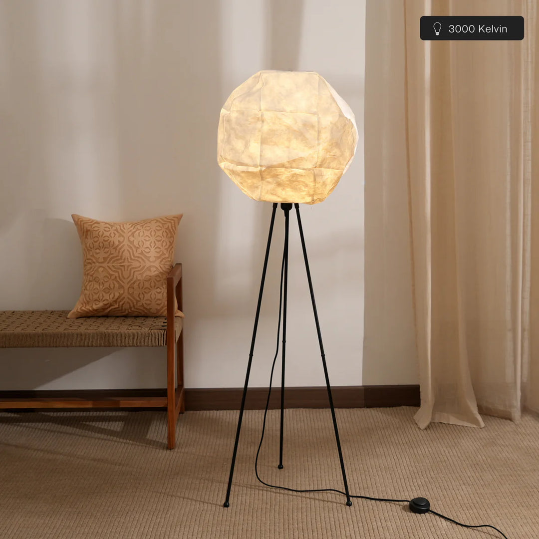 Expobazaar Luna Floor Lamp