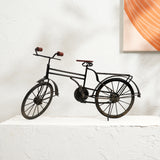 Decorative cycle Nan Item with Elegant Black Accent Piece