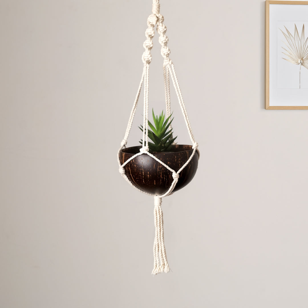 Coconut Shell Hanging Planter