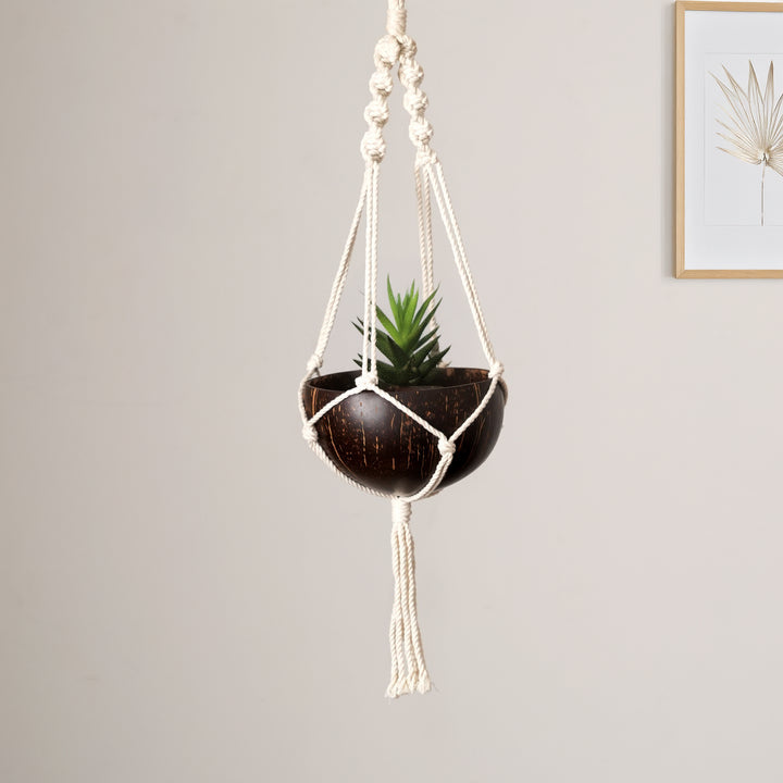 Coconut Shell Hanging Planter
