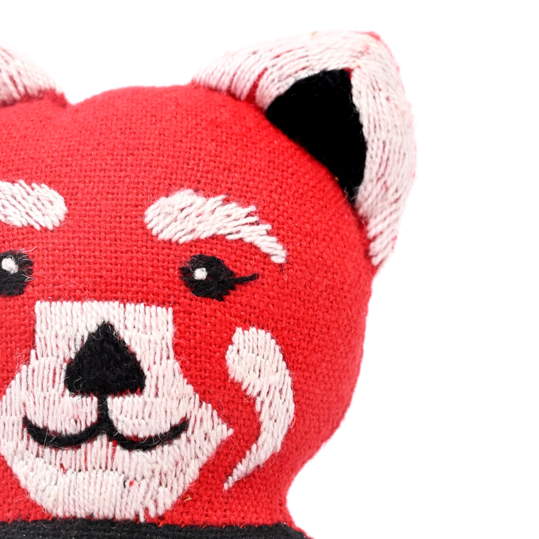 Red Panda - Endangered Species
