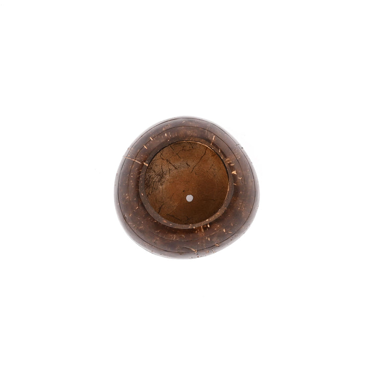 Coconut Shell Planter (Tabletop or Patio)