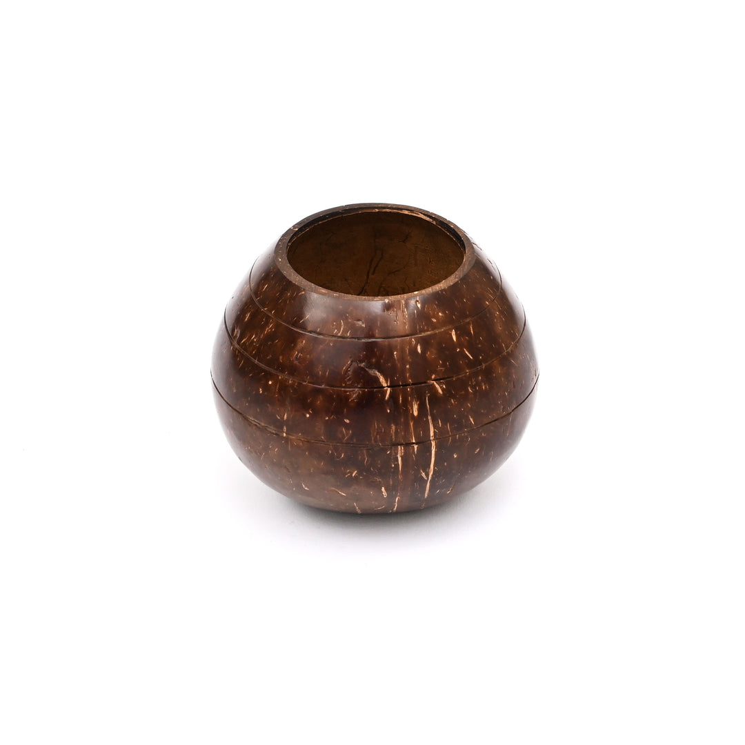 Coconut Shell Planter (Tabletop or Patio)