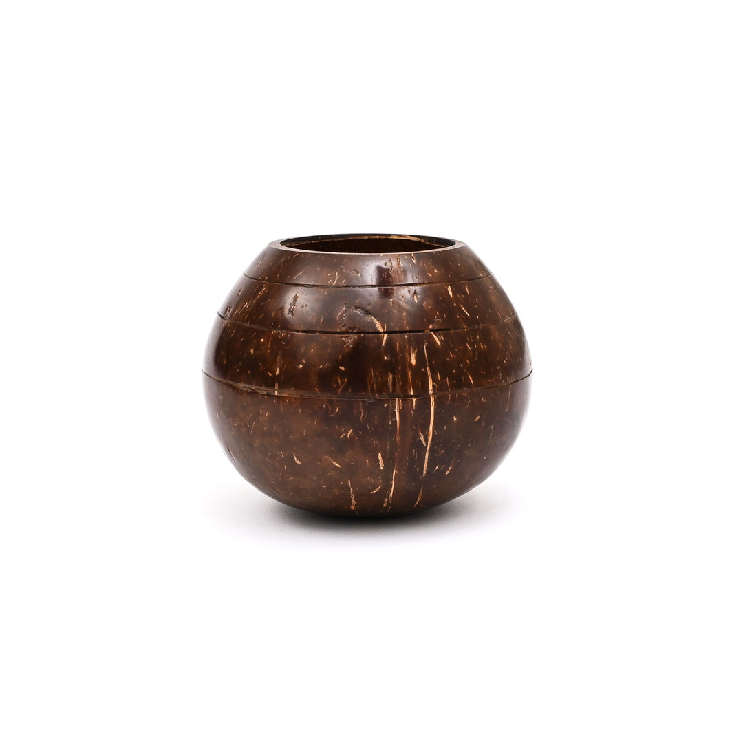 Coconut Shell Planter (Tabletop or Patio)