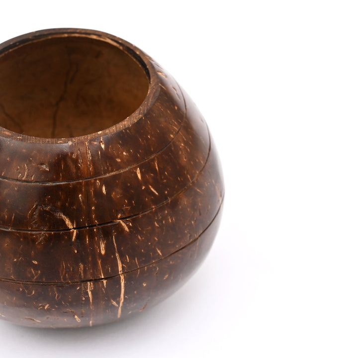 Coconut Shell Planter (Tabletop or Patio)