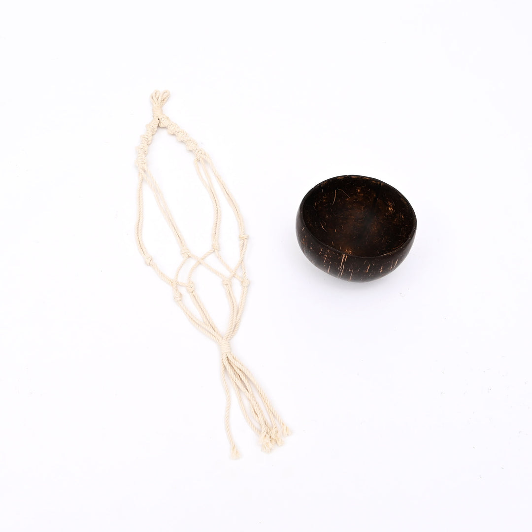 Coconut Shell Hanging Planter