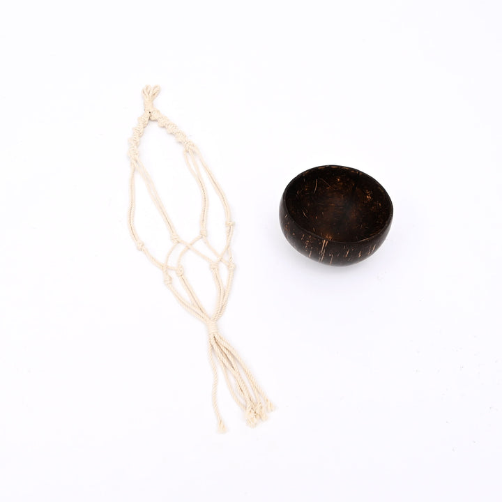 Coconut Shell Hanging Planter