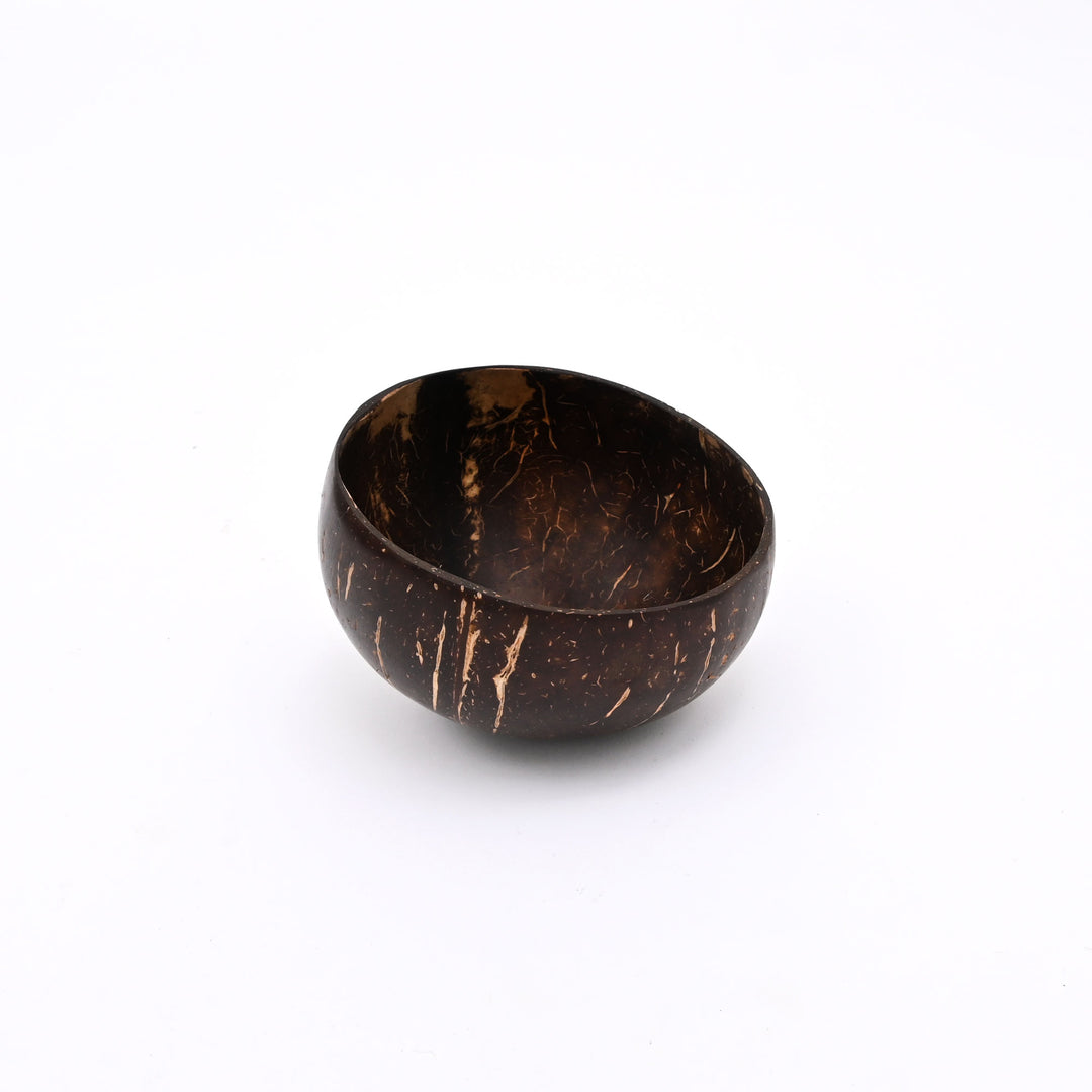 Coconut Shell Hanging Planter