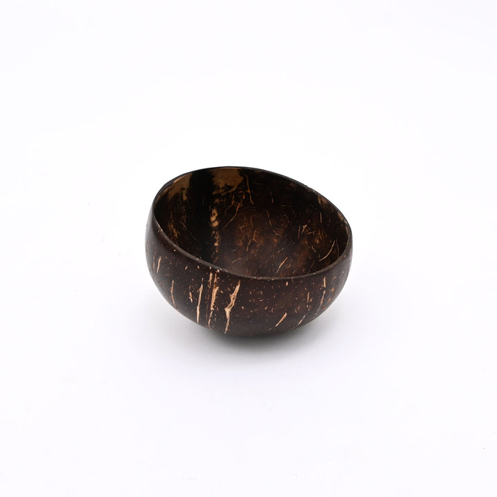 Coconut Shell Hanging Planter