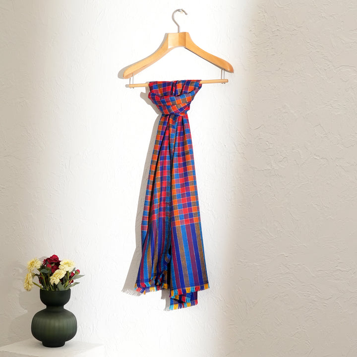 Handloom Pashmina Stole – Blue Pink Multicolour | Check Box Design