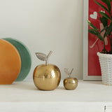 Expobazaar Gold Aluminium  Apple